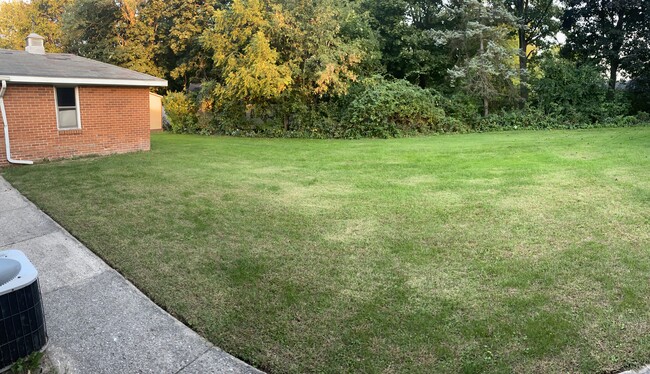 Backyard - 2608 Gull Rd