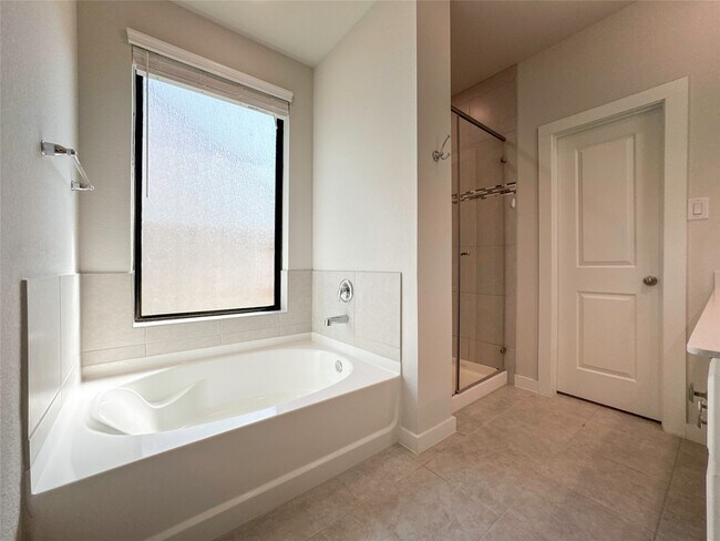 Building Photo - 3205 Cornflower Coast Ct