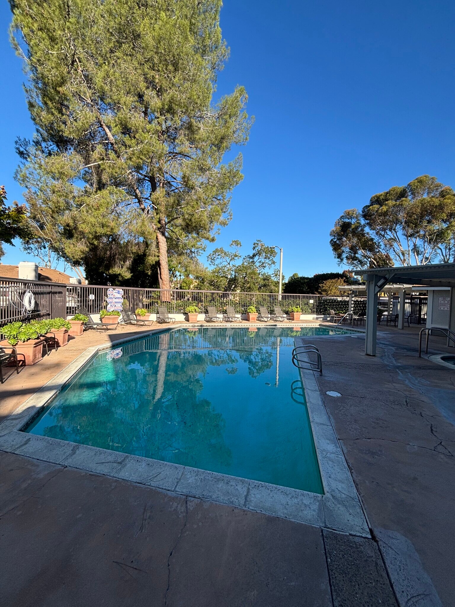 pool - 25713 Sycamore Pointe