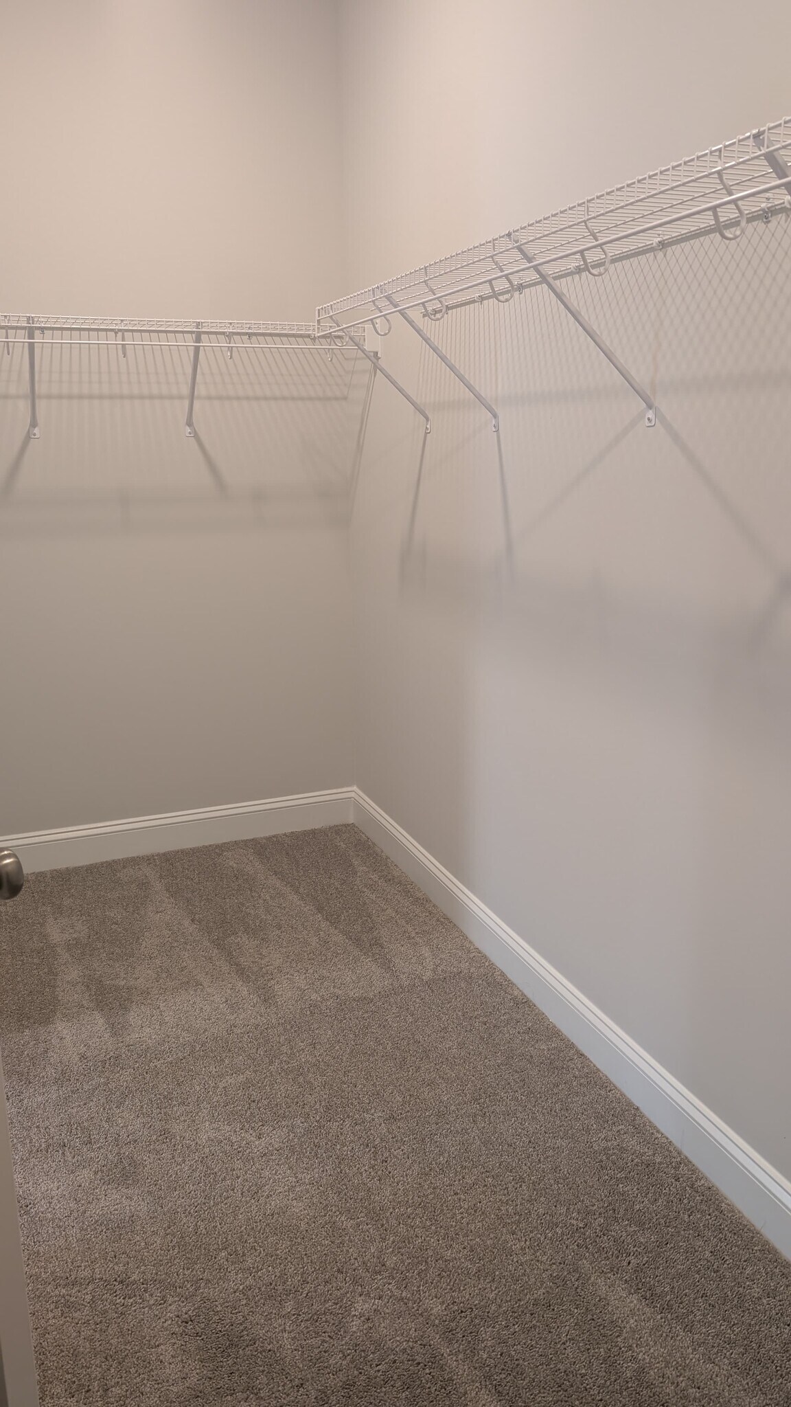 Building Photo - 1011 Constellation Cir