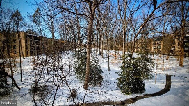 Building Photo - 4960 Sentinel Dr