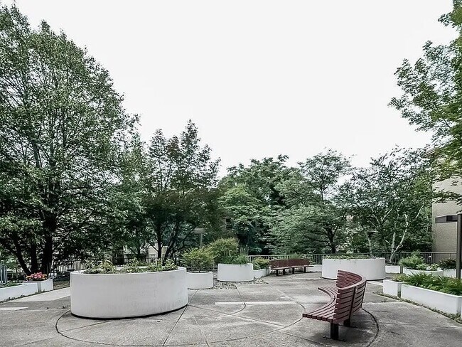 Building Photo - 50 Winchester St