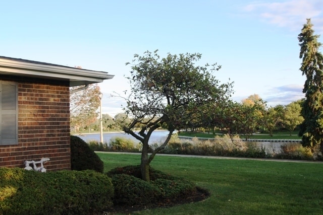Building Photo - 931 Shattuck Ln