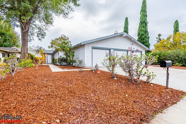 Building Photo - Olive 1178/1180