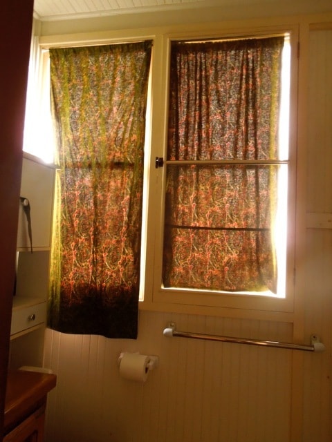 Bathroom 2, windows w/curtains - 264 N 13th St