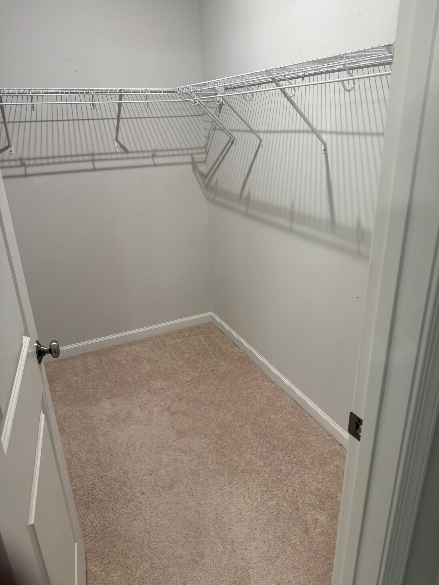 Building Photo - 803 Haversack Hunt Way