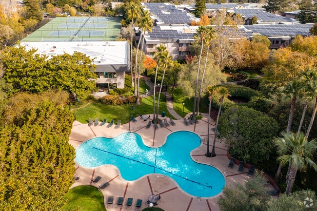 Aerial Photo - Shelter Creek