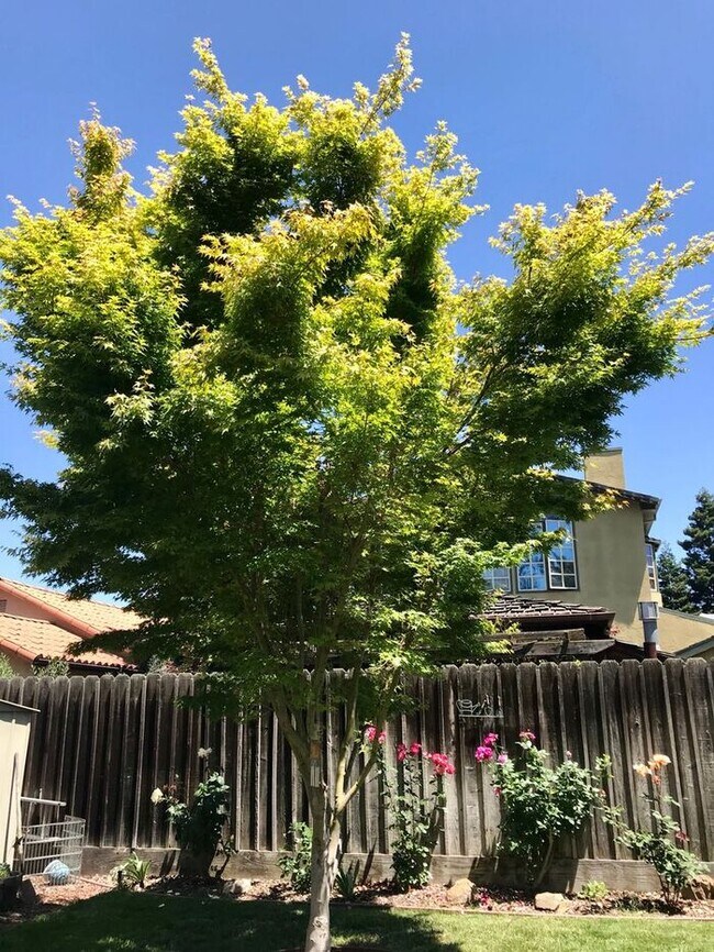 Building Photo - 238 Jackson St