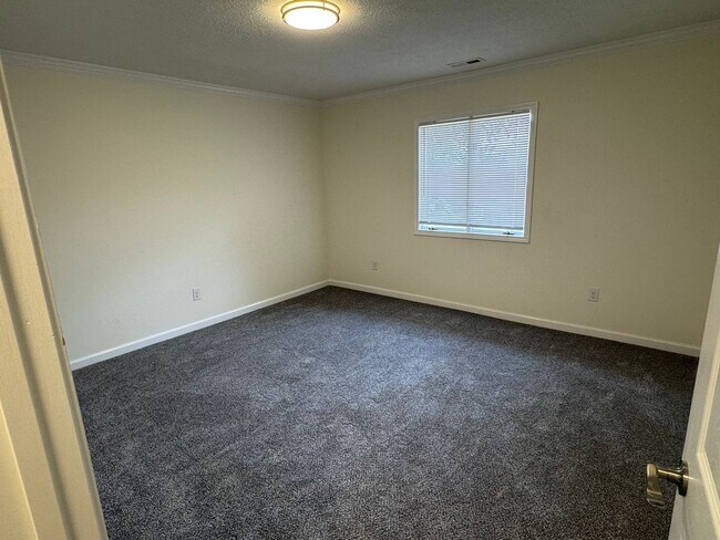 Building Photo - Newly renovated 3 Bedroom 2.5 Bathroom Home located in Kingsport, TN