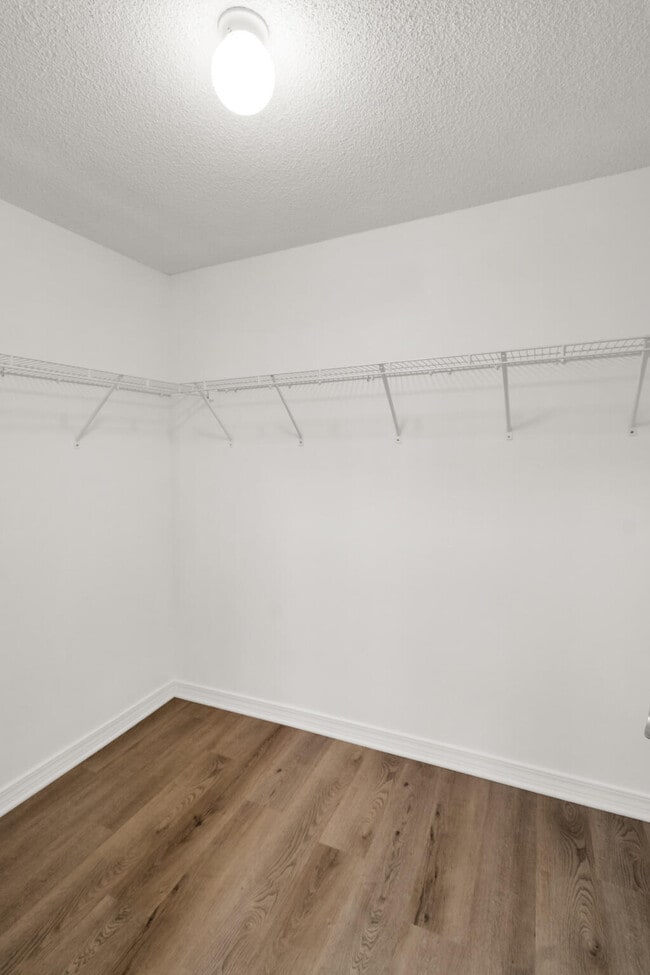 Building Photo - 2427 Tumbleweed Dr