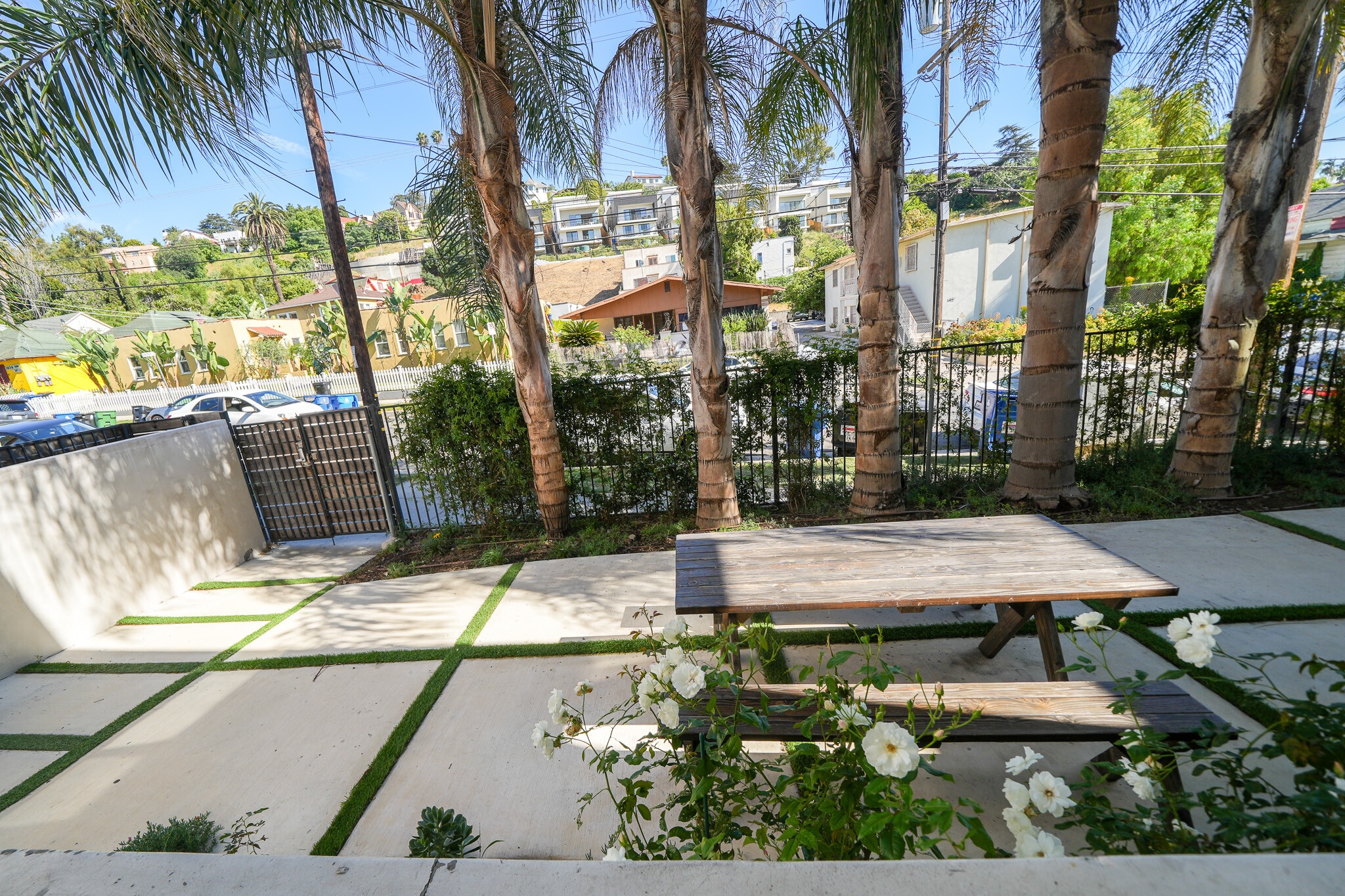 Front yard - 1631 Morton Ave