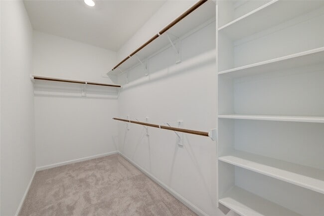 Building Photo - 27006 Coco Flower Ln