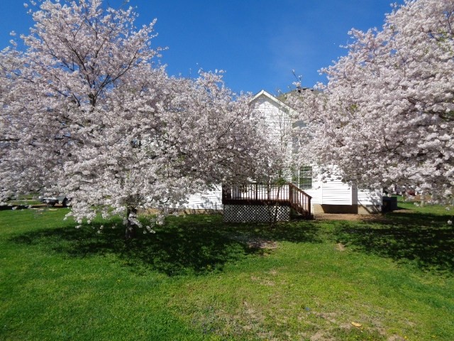 Building Photo - 2814 Sutherland Dr