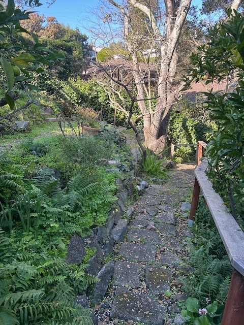 Building Photo - 77 Mirabel Ave