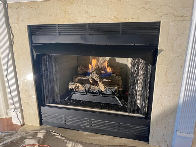Fireplace - 3712 Excalibur Ct