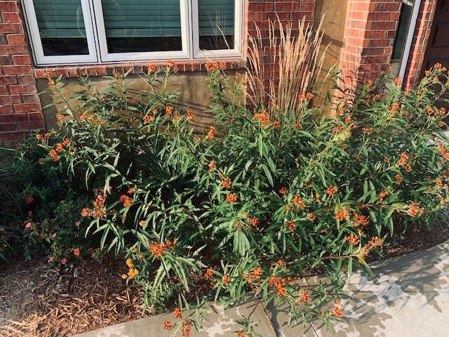 Building Photo - 1132 NW 34th St