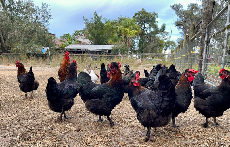 Building Photo - 2750 Lent Rd