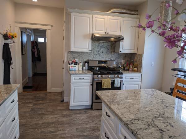 Kitchen - 48 Wellington Rd