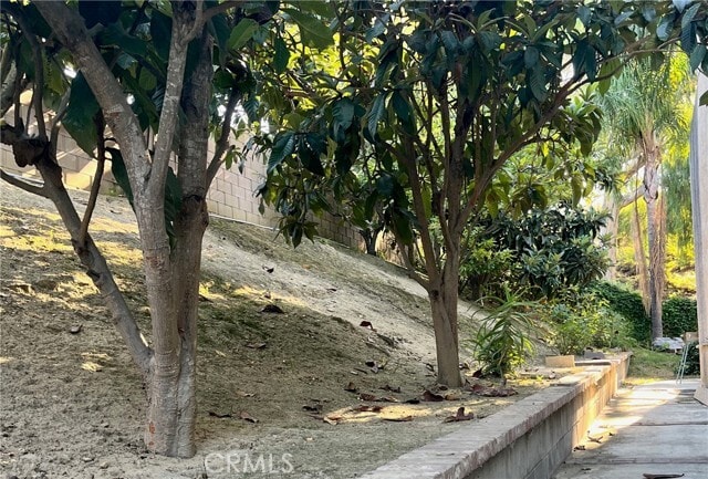 Building Photo - 1453 Rancho Hills Dr