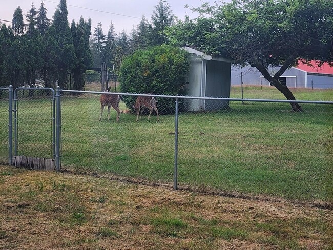 Building Photo - 3 BEDROOM HOME SOUTH SIDE OF SHELTON!
