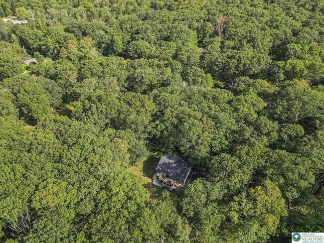 Building Photo - 115 White Oak Ct