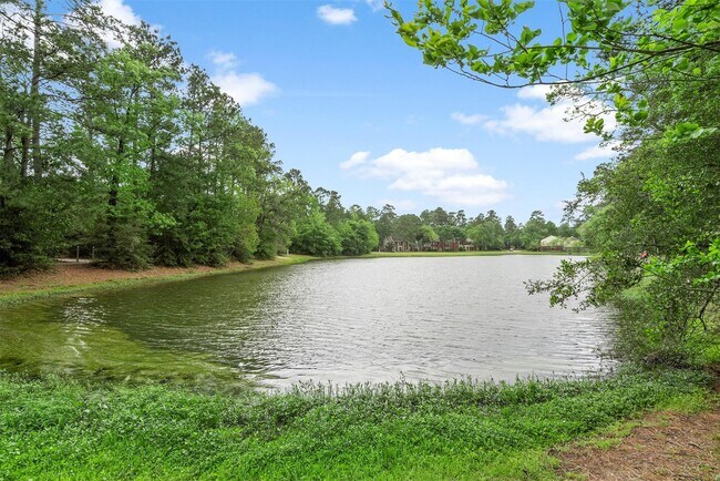 Building Photo - 36 White Bark Pl