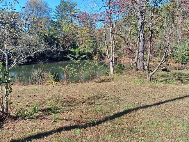 Building Photo - Beautiful One Bedroom Cabin on your own Private Pond!