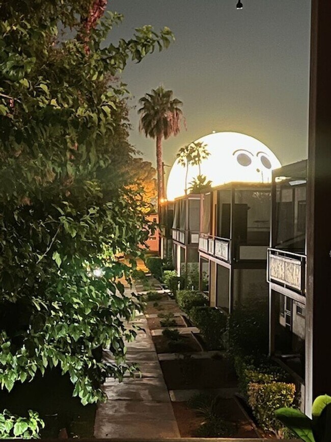 Building Photo - Move-In Ready, Fully Furnished Condo – Prime Strip Location