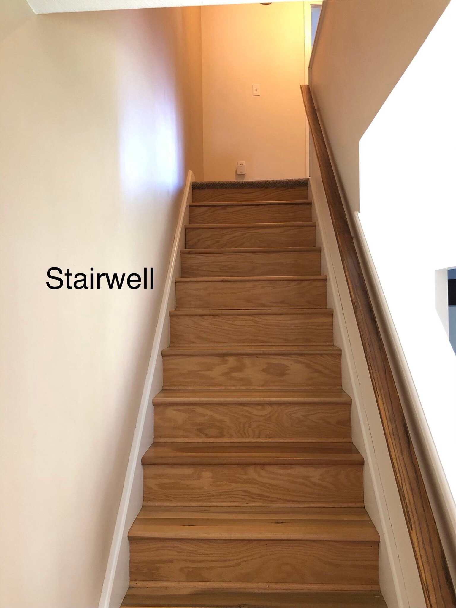 Building Photo - 49 Lincoln Ave