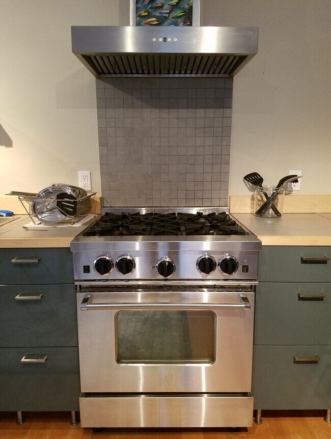 Stove and cabinets - 302 Old Branchville Rd