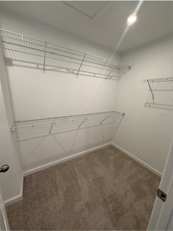 Building Photo - 1107 Boardwalk Pl