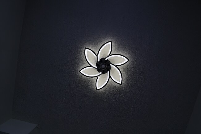 Building Photo - 673 Delaware St