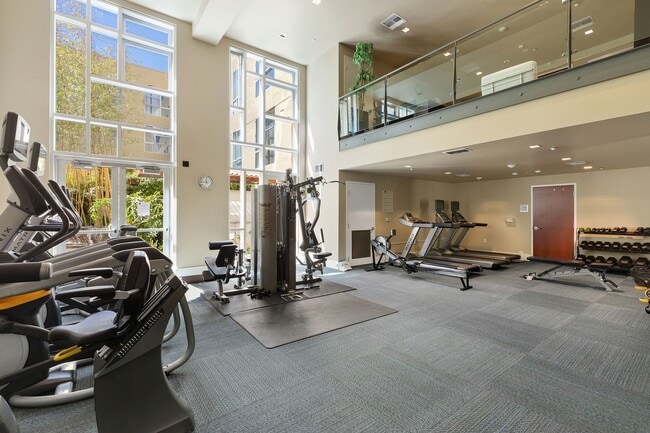 Building Photo - Great natural light in a large condo near ...