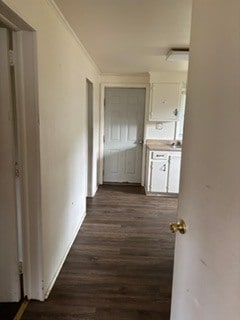 hallway to kitchen - 8 4th St