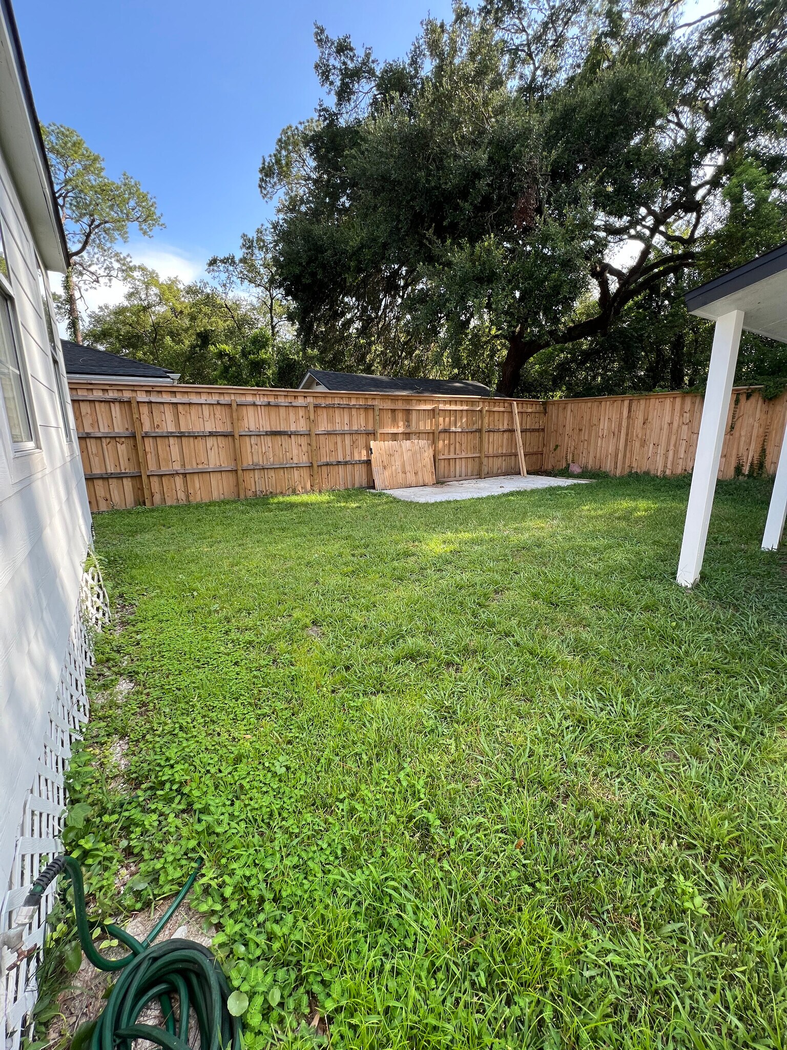 Backyard - 1178 Murray Dr
