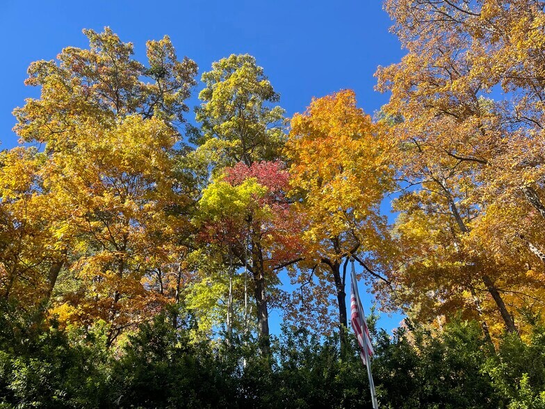 Colors soothe the soul - 86 Yonah Vw