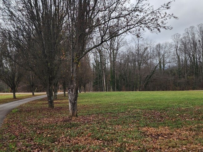 Building Photo - Saltwater Pool