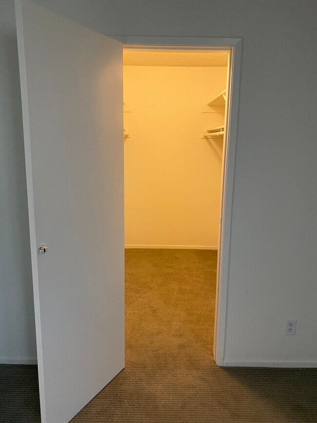 Main Bedroom Walk-in Closet - 11983 Walnut Ln