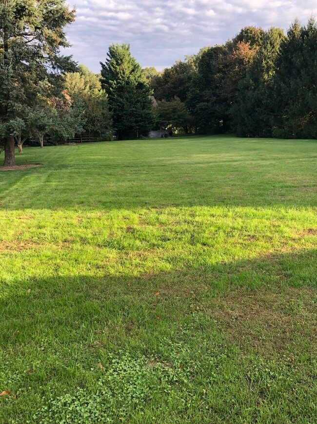 Large semi-prvate backyard, riding lawnmower provided - 303 Seminole Ct
