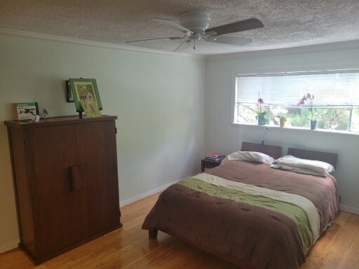Bedroom offers Good Natural Light - 376 N Post Oak Ln