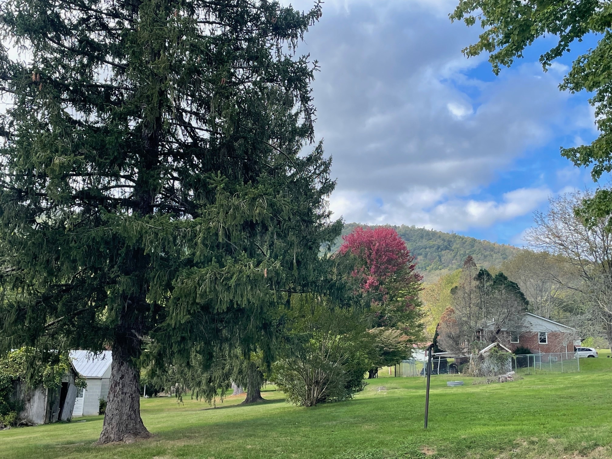 Building Photo - 627 Docs Ln