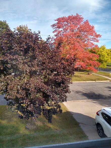 Building Photo - 2124 Vermont Ave