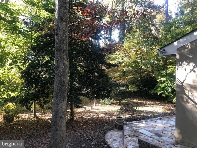 Building Photo - 6499 Frenchmens Dr