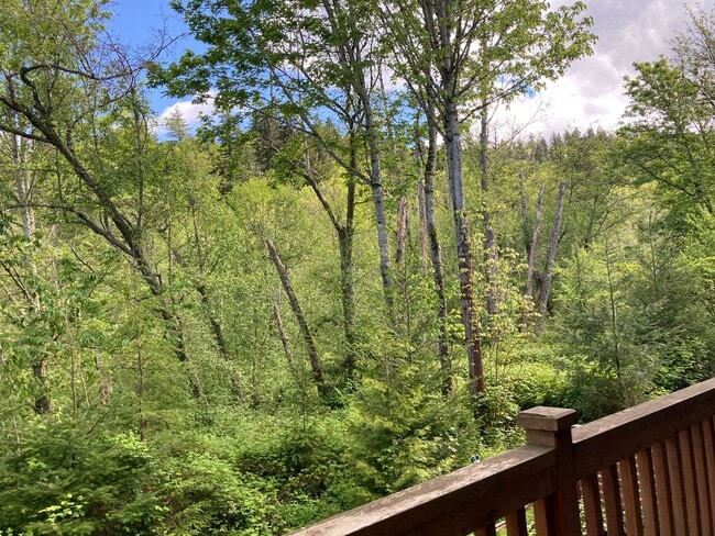 Building Photo - Newcastle Home