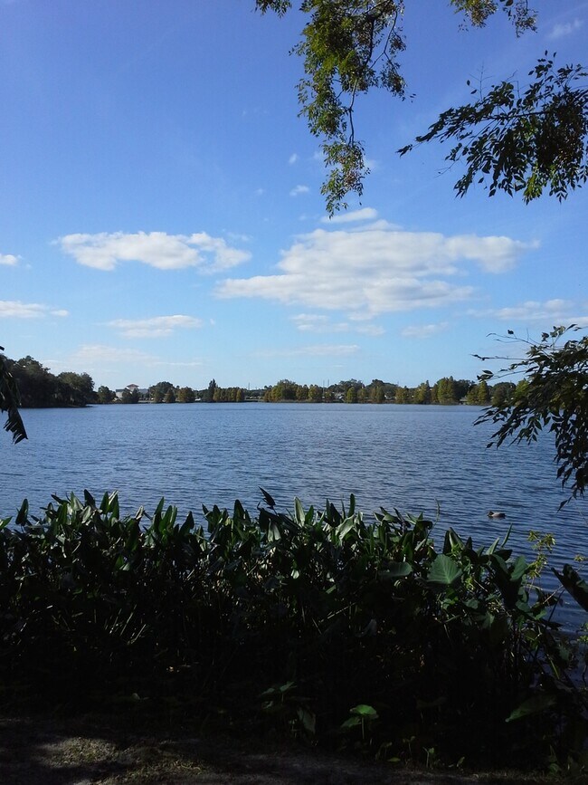 Building Photo - LAKE FRONT on Lake Highland!