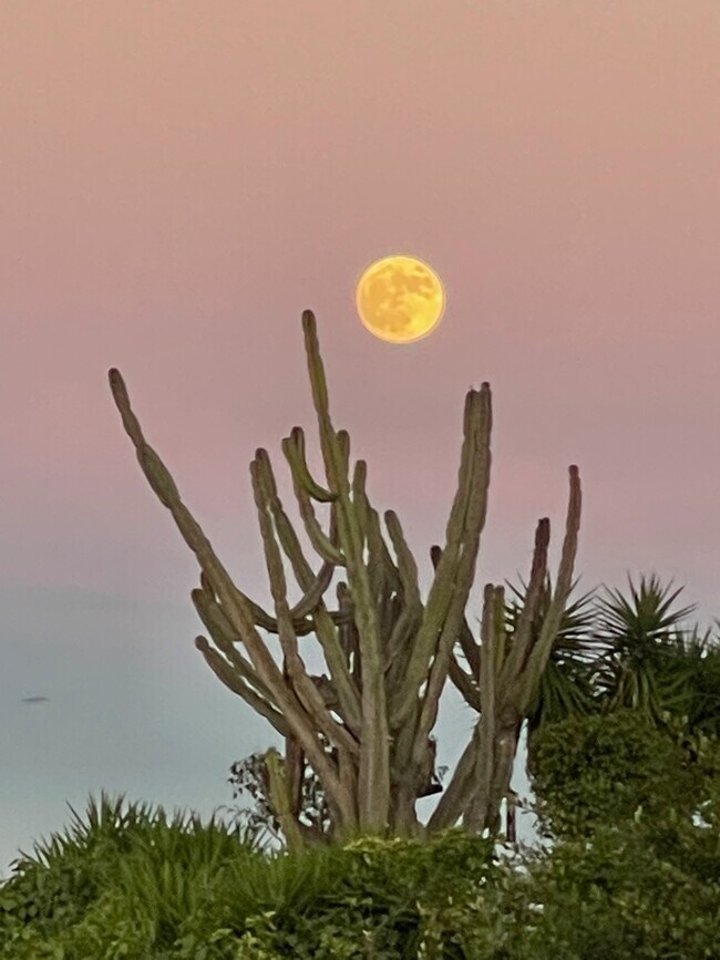 Building Photo - 19 Bronco Dr