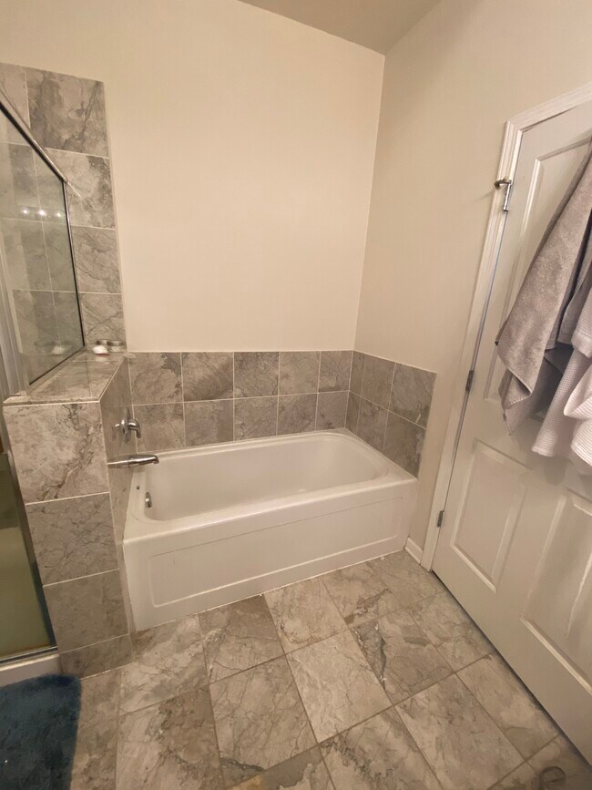 Master bath - 1464 S MICHIGAN Ave