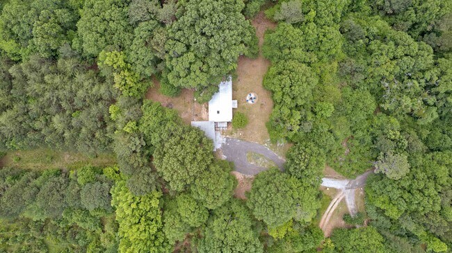 Building Photo - 137 Odith Rd