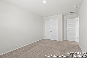 Building Photo - 10118 Agave Azul