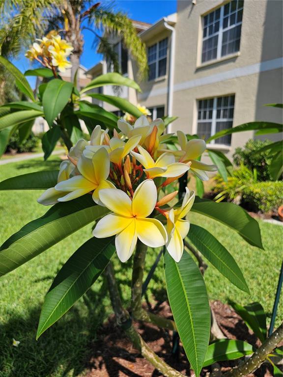 Building Photo - 4250 Players Pl